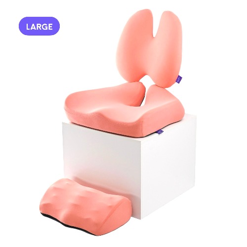 Ultimate Sitting Comfort Bundle | Vibrant Coral / Large