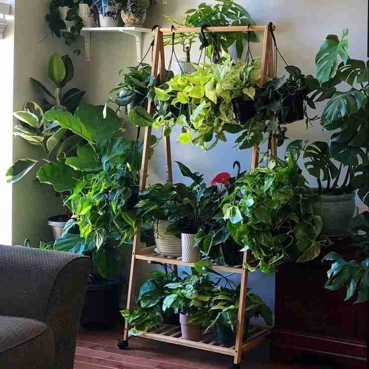 Donation to bluebaby 💙