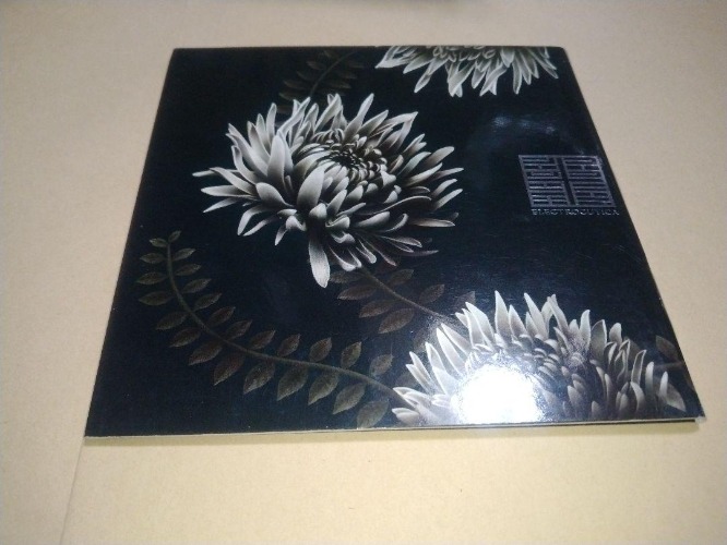 ELECTROCUTICA - REVERSUS CD Album