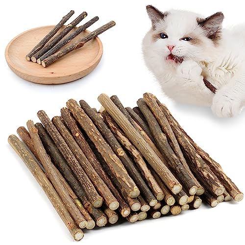 OSDUE 32 Stück Katzenminze Sticks, Matatabi-Kausticks, Katzenminze Spielzeug Katzen Kauhölzer Sticks für Katzen Zahnpflege & Gegen Mundgeruch Natürlich Sicher Katzensticks Kausticks Set - 32 Stück Katzenminze Sticks