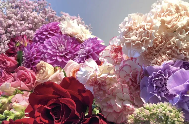 Flowers to Brighten my Day