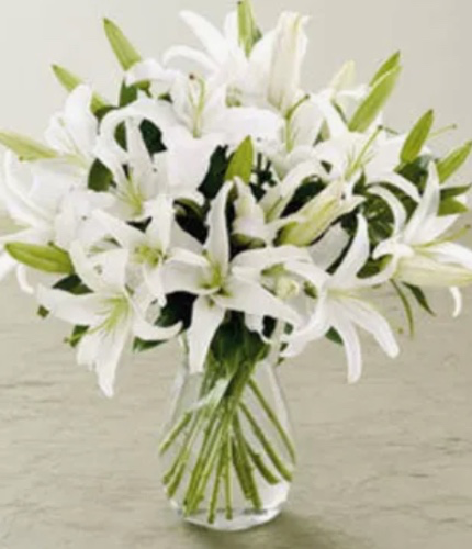 Casablanca Lilies