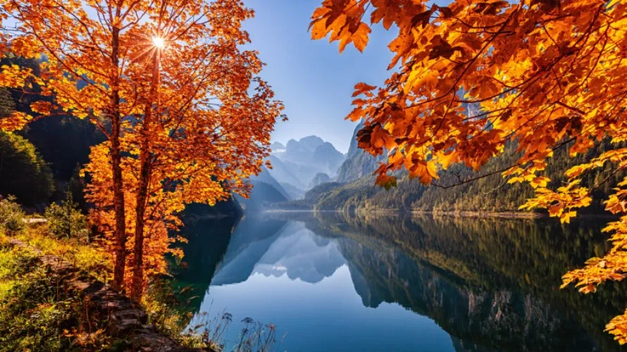 Round Trip Travel Package 