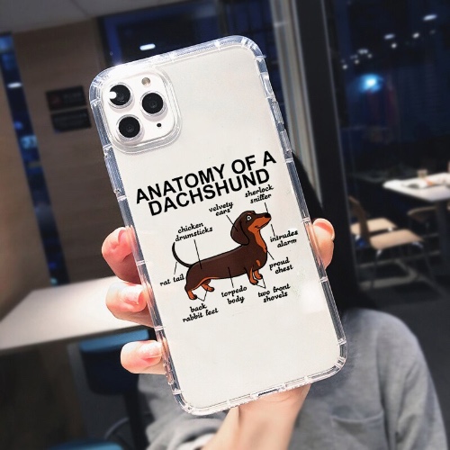 Cute Transparent iPhone Cases - iPhone 14 ProMax / B