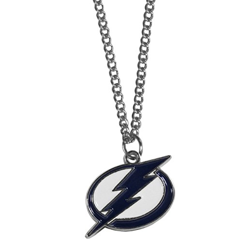 Siskiyou Sports NHL unisex-adult Chain Necklace with Small Charm - Tampa Bay Lightning - 22 inch - Team Color