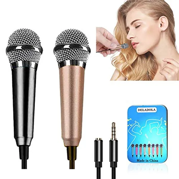 DELADOLA (2pack) Mini Microphone Tiny Microphone for Mobile Phone Laptop Notebook Apple iPhone Sumsung Android（Silver+Rose Gold）
