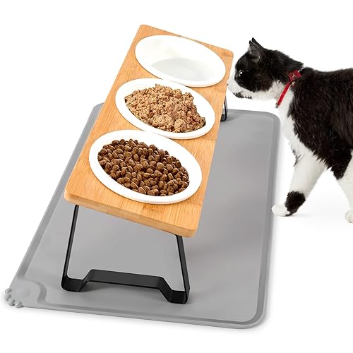 Elevated Food Bowl - Ceramic 