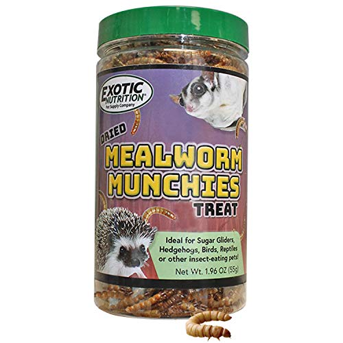Exotic Nutrition Mealworm Munchies (1.9 oz.) - All Natural Healthy High Protein Insect Treat - Chickens, Birds, Hedgehogs, Bluebirds, Reptiles, Sugar Gliders, Opossums, Skunks, Lizards, Fish, Turtles - 1.9 Ounce (Pack of 1)