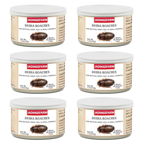 JADINGSFARM 6 Pack Canned Dubia Roaches for Reptiles, Fish, Birds and Small Animals, Dubia Roaches, Healthy High Protein Treat, Reptile Bird Fish Food 1.2 Ounces Each - D- Dubia Roaches