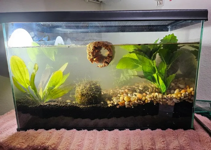 Aquarium! Let's work on it together!