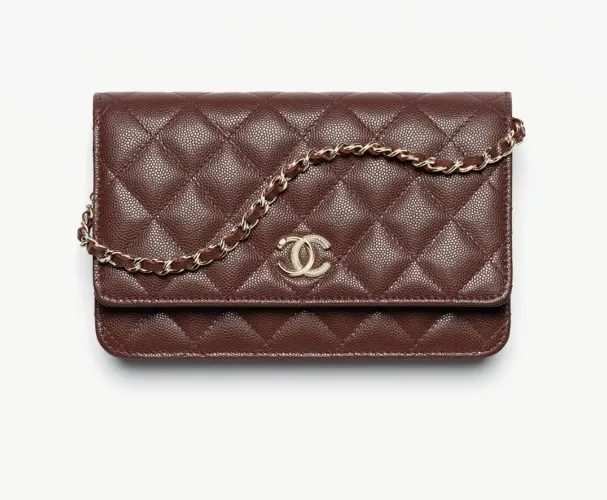 Chanel WOC Dark Brown
