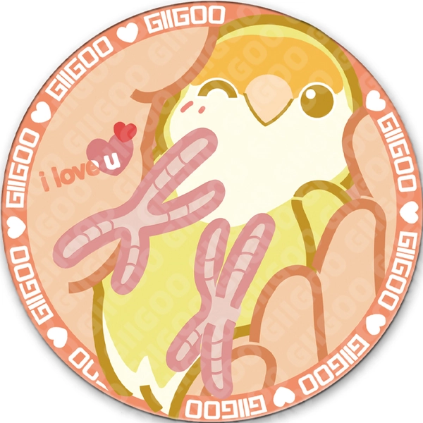 Cockatiel Mouse Pad Cute Bird Mouse Pads Parrot Desk Decor - B