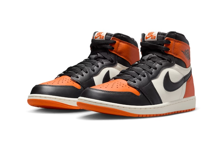 Air Jordan 1 Retro High OG "Shattered Backboard"