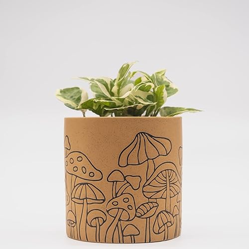 BASE ROOTS Mushroom Planter, Speckled Terracotta, Indoor/Outdoor, Holds Small Plants - Speckled Terracotta