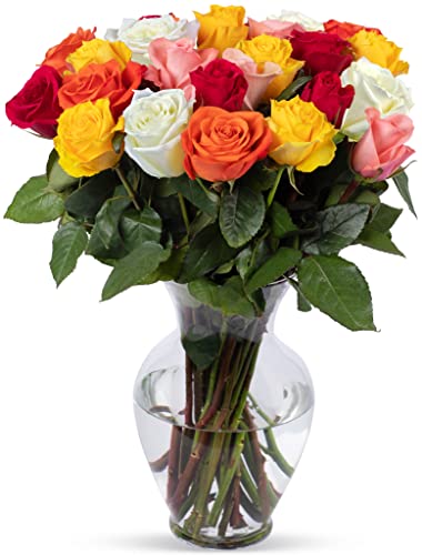 BENCHMARK BOUQUETS - 24 Stem Rainbow Roses (Glass Vase Included), Next-Day Delivery, Gift Fresh Flowers for Birthday, Anniversary, Get Well, Sympathy, Graduation, Congratulations, Thank You - Rainbow