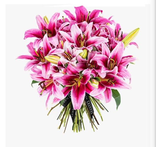 Pink scented lilies 
