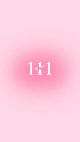 1 1 1