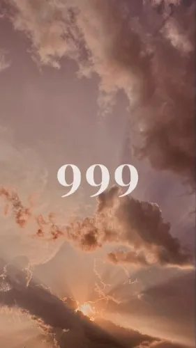 9 9 9