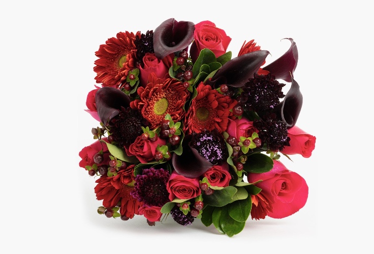 All Hail The Queen by BloomsyBox