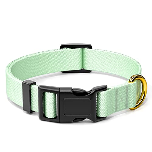 Rnivvi Dog Collar, Adjustable Green Dog Collar for Large Dogs, Cute Puppy Collar for Boy and Girl Dogs, Classic Heavy Duty Pet Collars with Quick Release Buckle for Walking Running, L Length 1" Width - Z-Lake Green - L (Neck 16-24", Width 1")