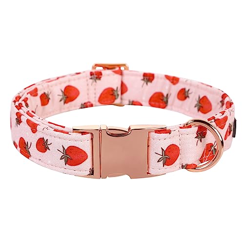 Lionet Paws Dog Collar, Comfortable Adjustable Cute Collar with Metal Buckle for Male Female Dogs Gift, Strawberry Pattern, Large, Neck 16-24 inches - X-Large (Pack of 1) - Strawberry