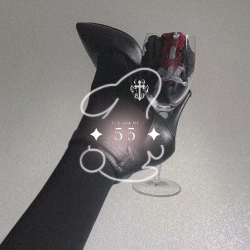 𝜗𝜚⋆₊˚ White Rabbit Gift