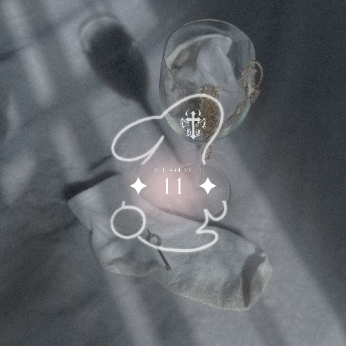 𝜗𝜚⋆₊˚ Basic Bratty Gift