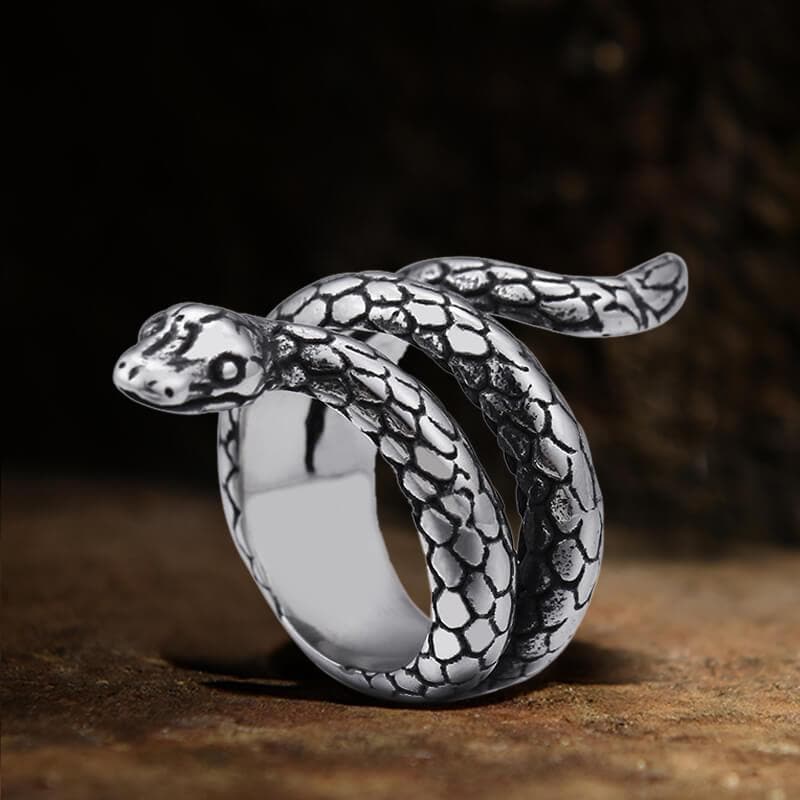 Retro Punk Winding Snake Cobra Stainless Steel Ring | Silver / 10