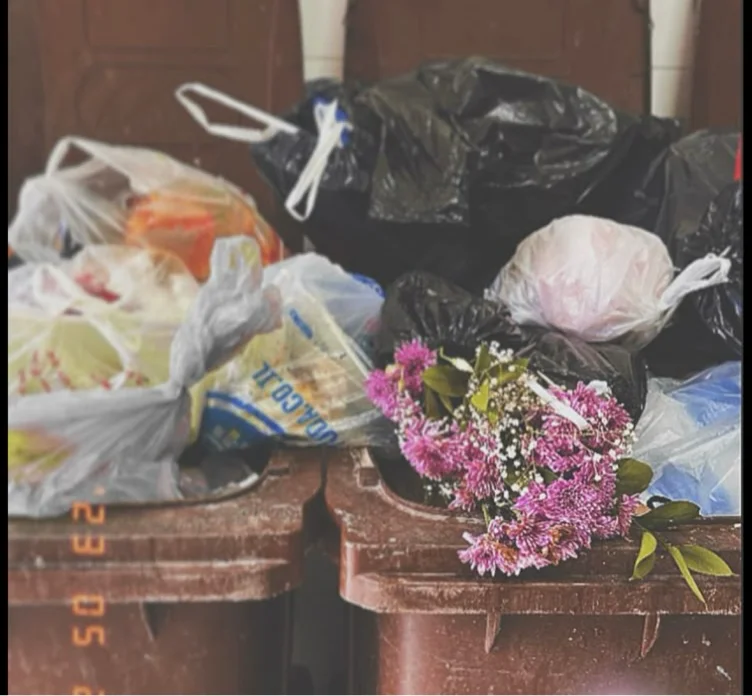Trash day 🗑️