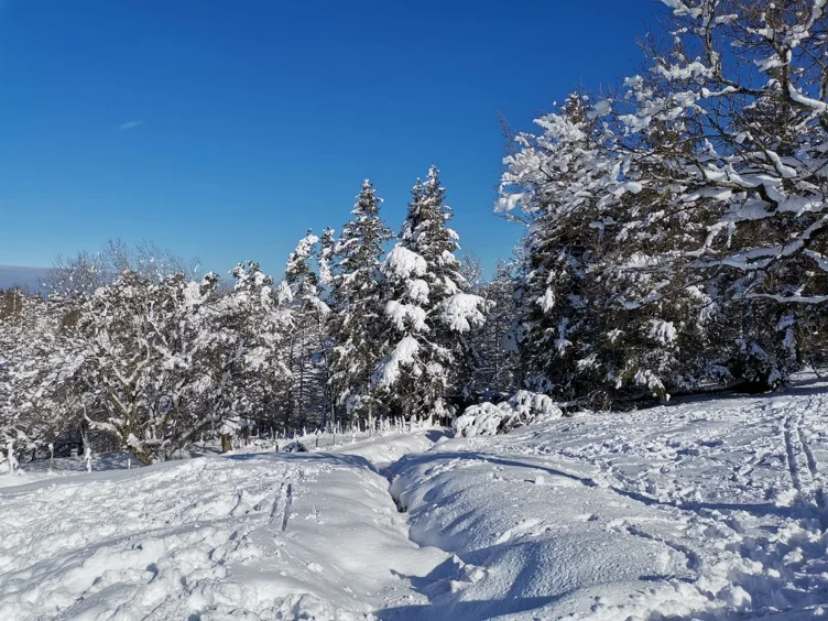 Weekend forfait 😇