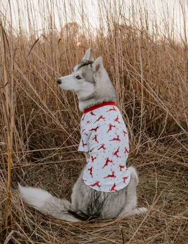 Big Dog Reindeer Pajamas - reindeer-white-red / X-Large
