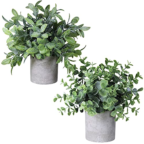 Winlyn Set of 2 Faux Mini Potted Plants Artificial Eucalyptus Boxwood Plants in Pots Fake Greenery Arrangement for Rustic Farmhouse Indoor Table Centerpiece Mantel Shelf Kitchen Office Desk Decor