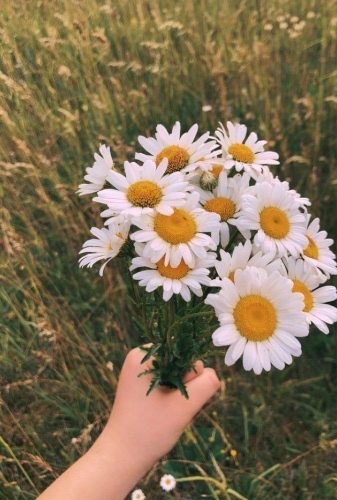Appreciation Tip