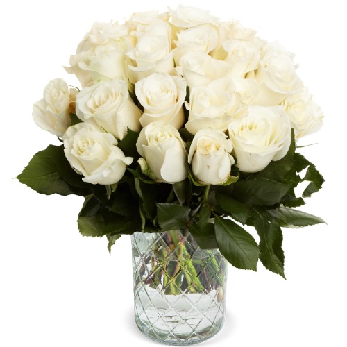 25 White roses