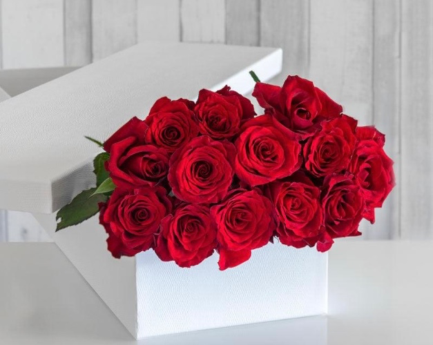 Buy me flowers 💐🌹🌷