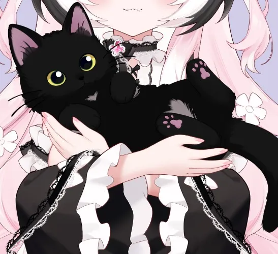 Food for my babies🐈‍⬛