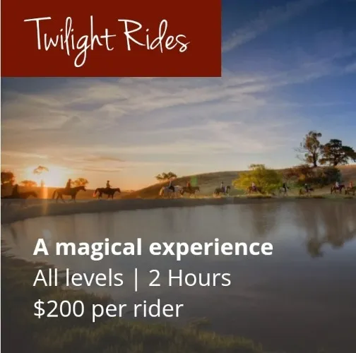 Horseback Ride at Twilight 