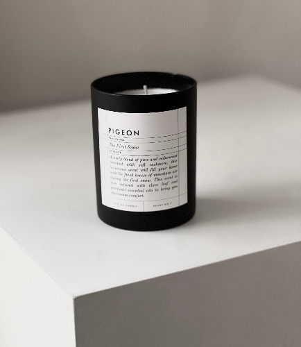 The First Snow | No. 7 — Pigeon 