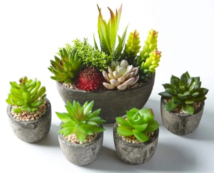 Jobary Set of 5 Artificial Succulent Potteds (Includes 10 Plants), Colourful and Decorative Faux Succulent Plants with Stones, Ideal for Home, Office and Outdoor Decor
