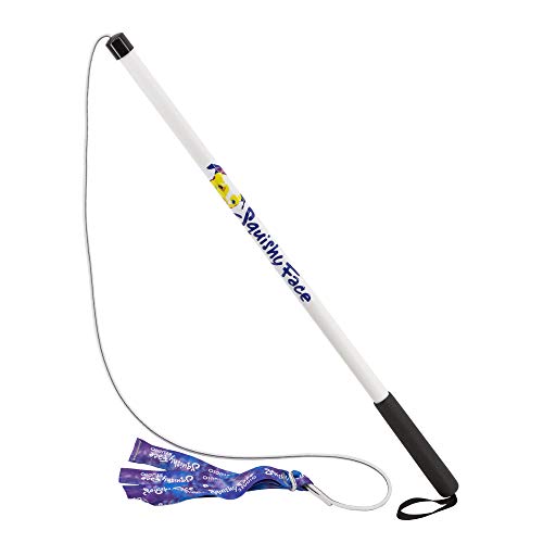 Squishy Face Studio Flirt Pole V2 with Lure