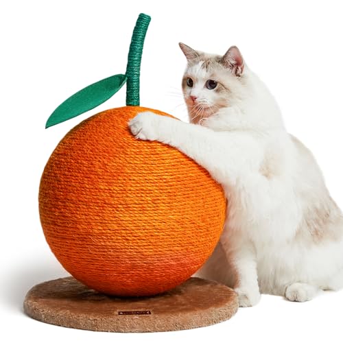 Orange Cat Scratching Post