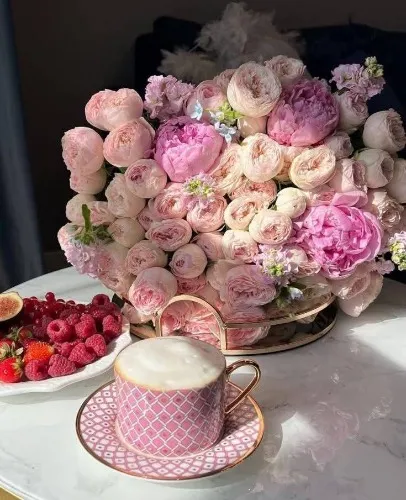 Imperial porcelain service (pink)