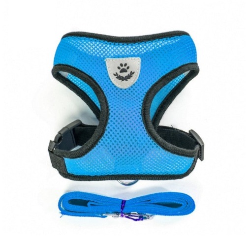 Adjustable Cat Dog Harness with Leash - Blue / S