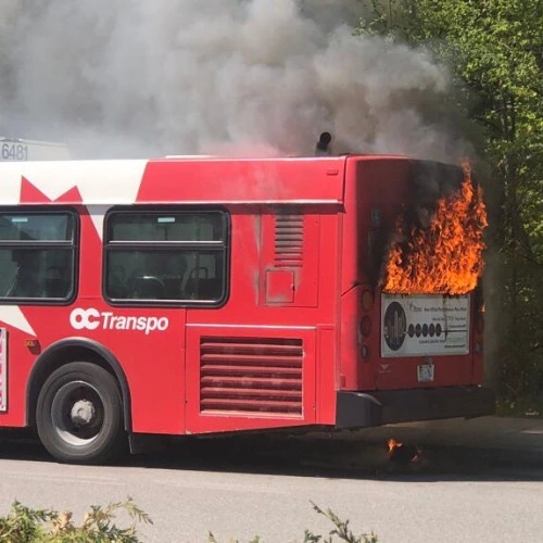 Monthly transit pass