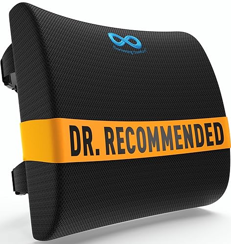 Everlasting Comfort Lumbar Support Pillow