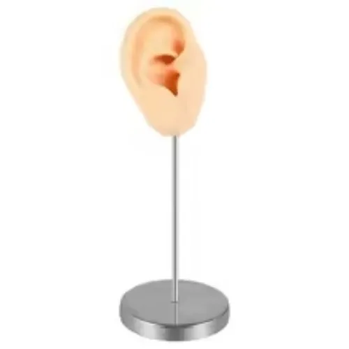 silicone ear 