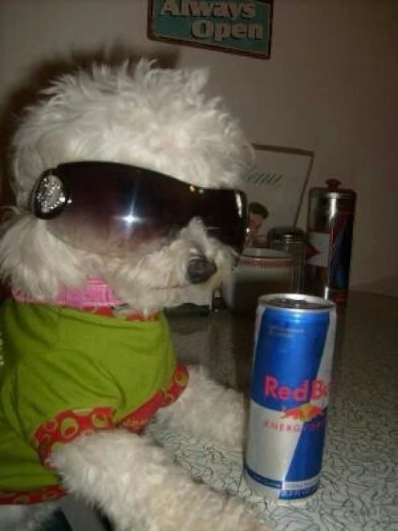Redbull addict 