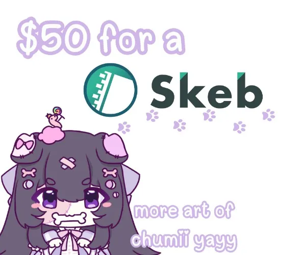 Skeb illustration fundingg 