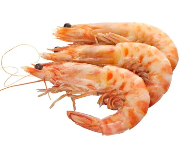 Shrimp