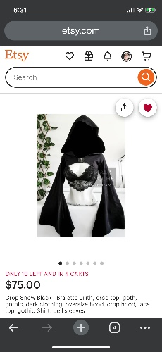 Crop top hoodie AND bralette